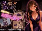 夜の蝶を堕とすまで