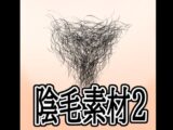 陰毛素材2