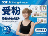 【▲20】一ノ瀬廻里 大学に進学し強豪予備校『DOPUX（ドピュックス』で生物I，IIを教える名物講師に！（Vol.034:受粉）