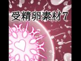 受精卵素材7